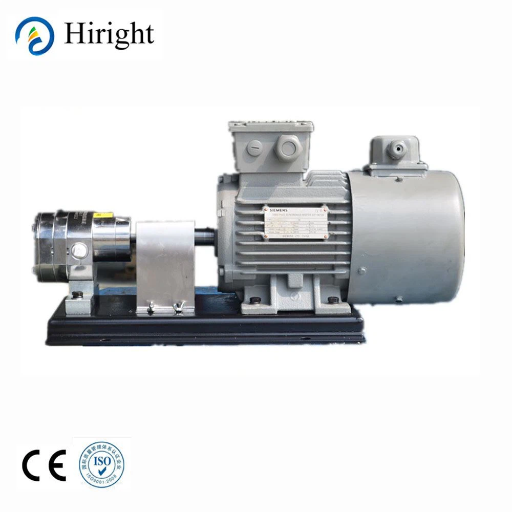 Polymer Pump Stainless Steel Gear Metering Pump