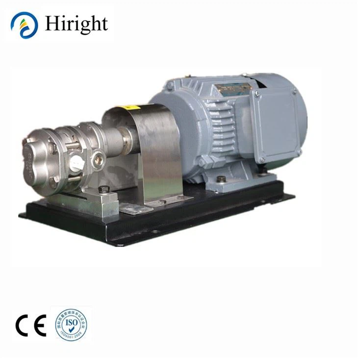 Polymerpump Kugghjulsdoseringspump i rostfritt stål