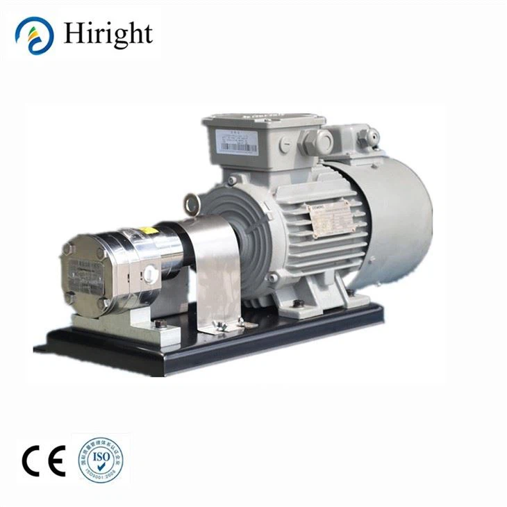 Polymer Pump Stainless Steel Gear Metering Pump
