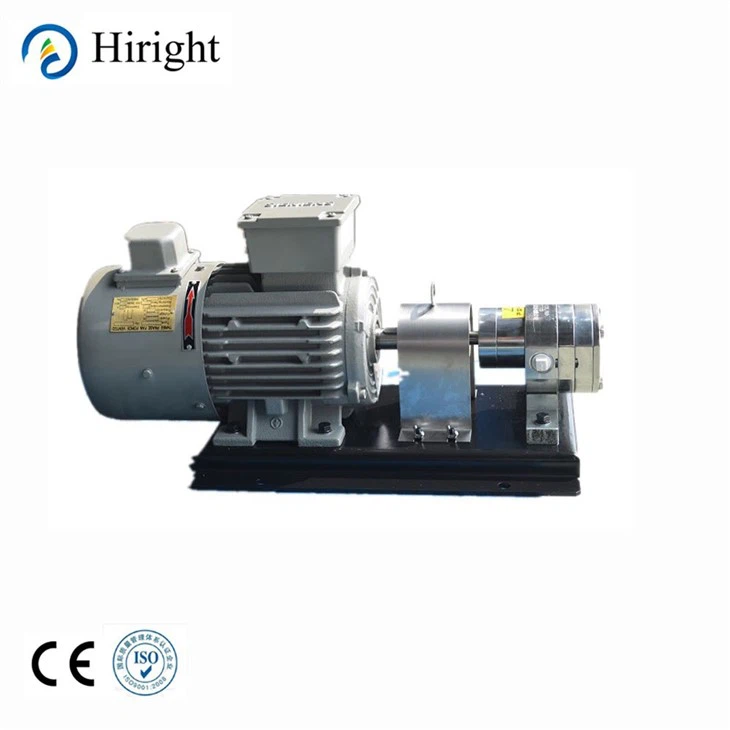 Polymer Pump Stainless Steel Gear Metering Pump