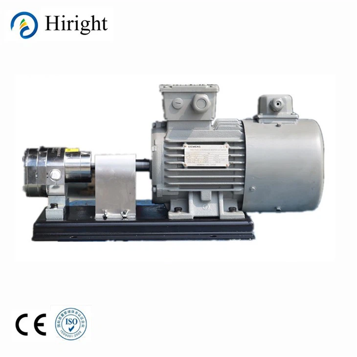 Polymer Pump Stainless Steel Gear Metering Pump