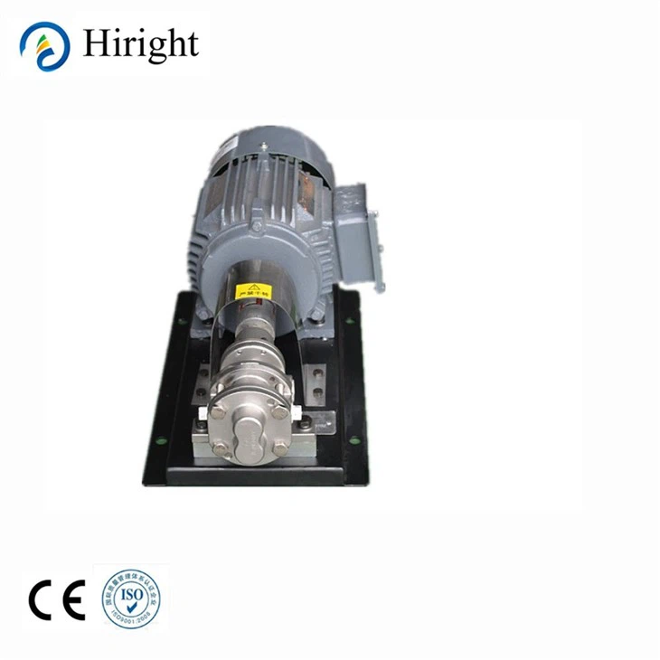 Polymer Pump Stainless Steel Gear Metering Pump