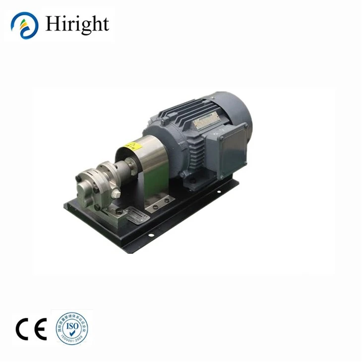 Stainless Steel Gear Grinding Agent Pump