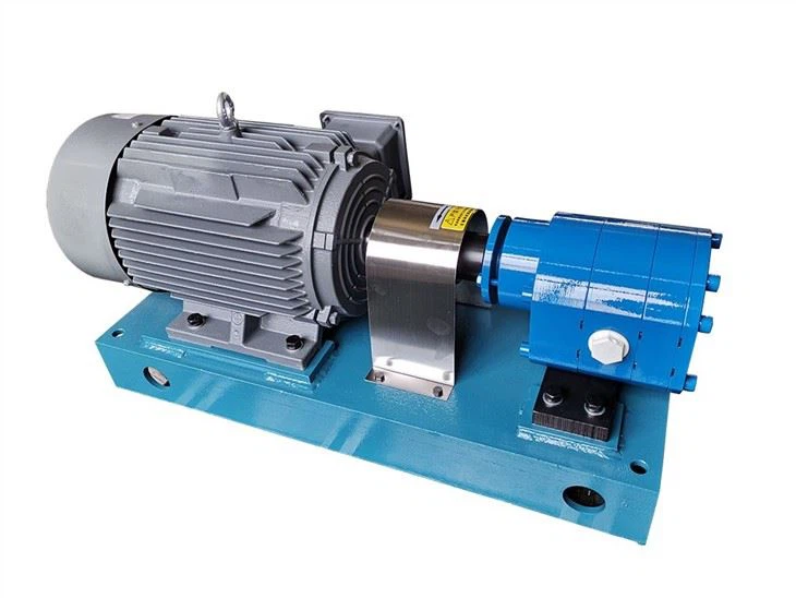 LM481 Special Gear Pump